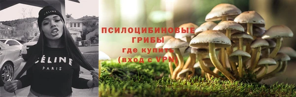 а пвп мука Бородино