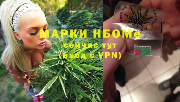 а пвп мука Бородино