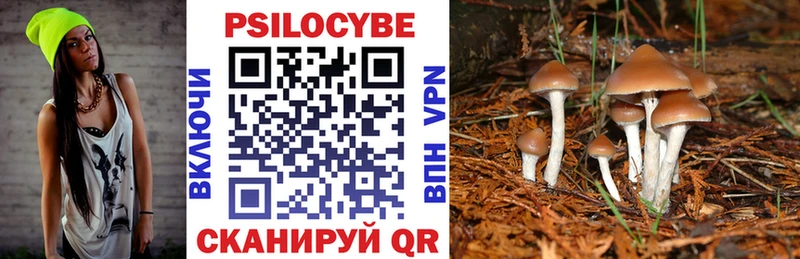 Галлюциногенные грибы Cubensis  Новопавловск 